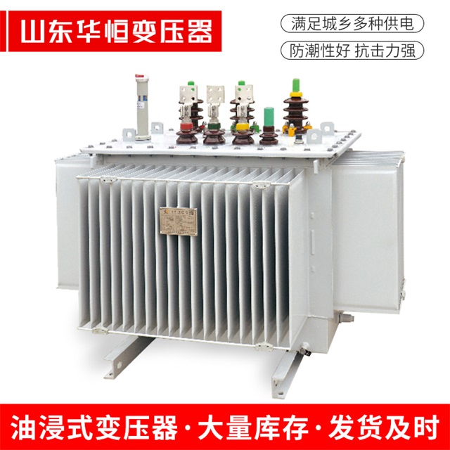 S13-10000/35濮阳濮阳濮阳电力变压器